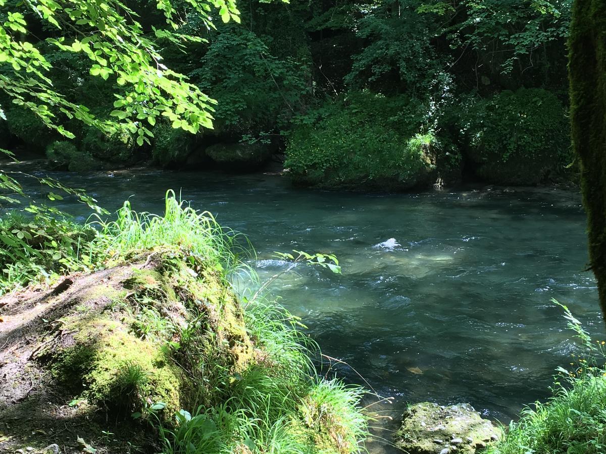 Gasthof Teufl Purgstall an der Erlauf 외부 사진